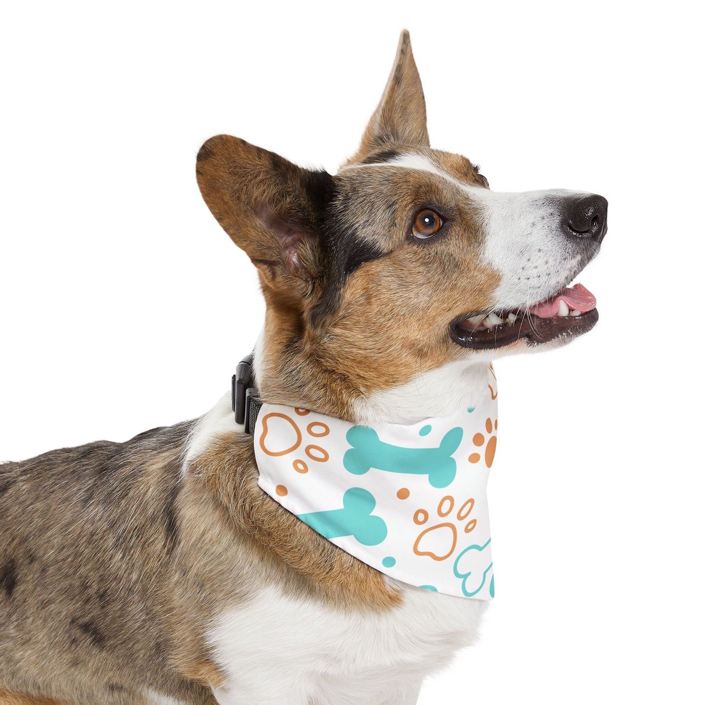 Pet Bandana Collar: Bones & paws