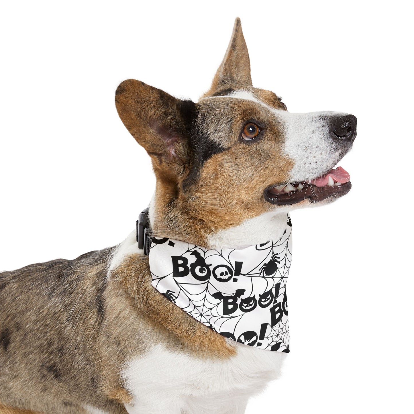 Pet Bandana Collar: Boo
