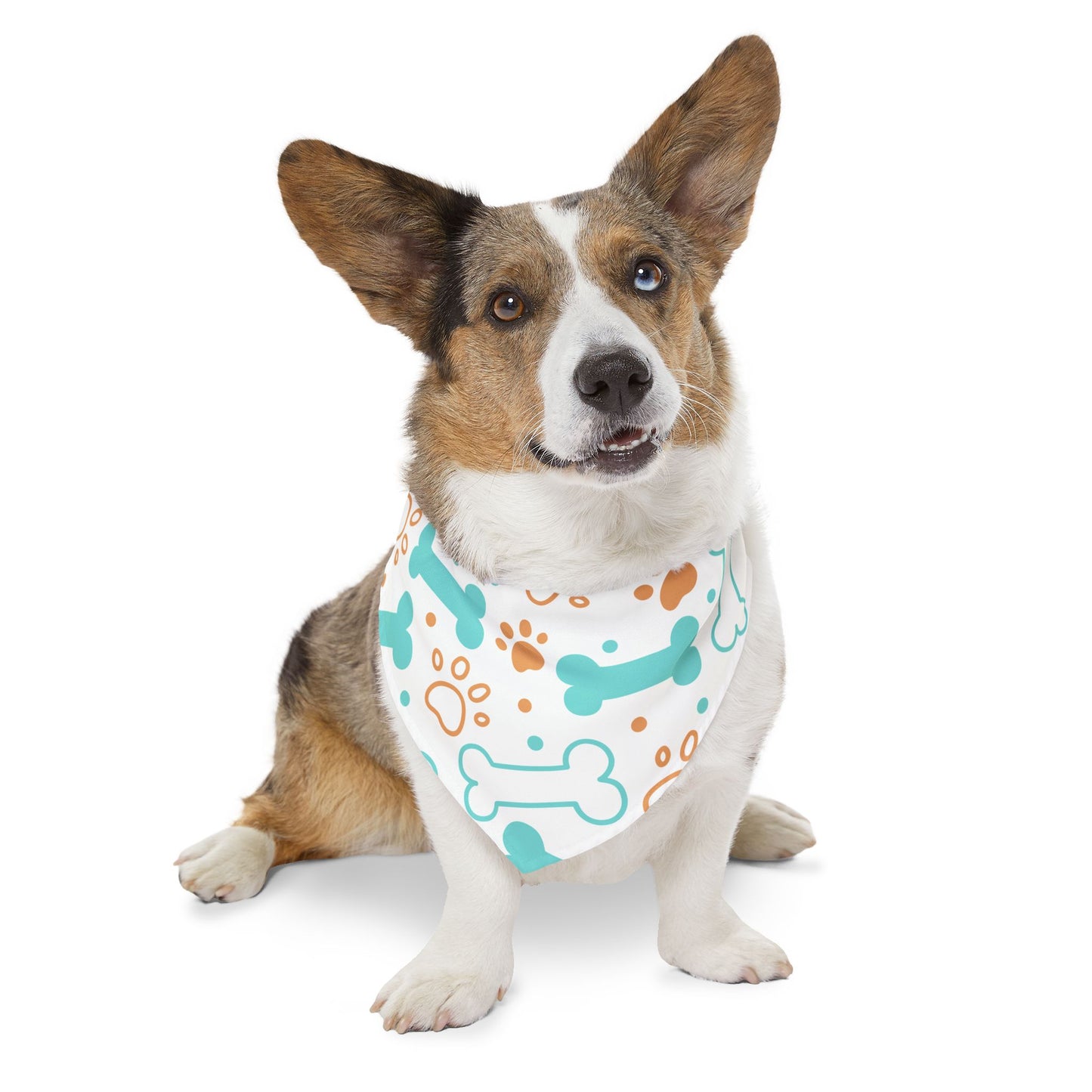Pet Bandana Collar: Bones & paws