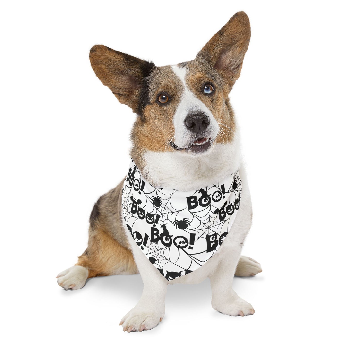 Pet Bandana Collar: Boo