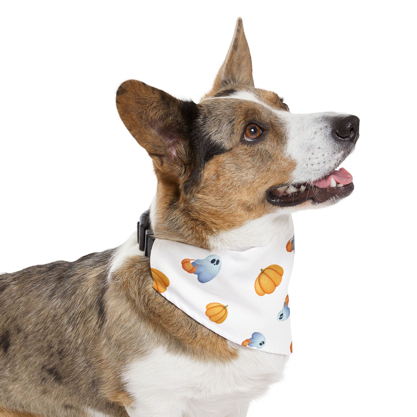 Pet Bandana Collar: Pumpkins & Ghosts