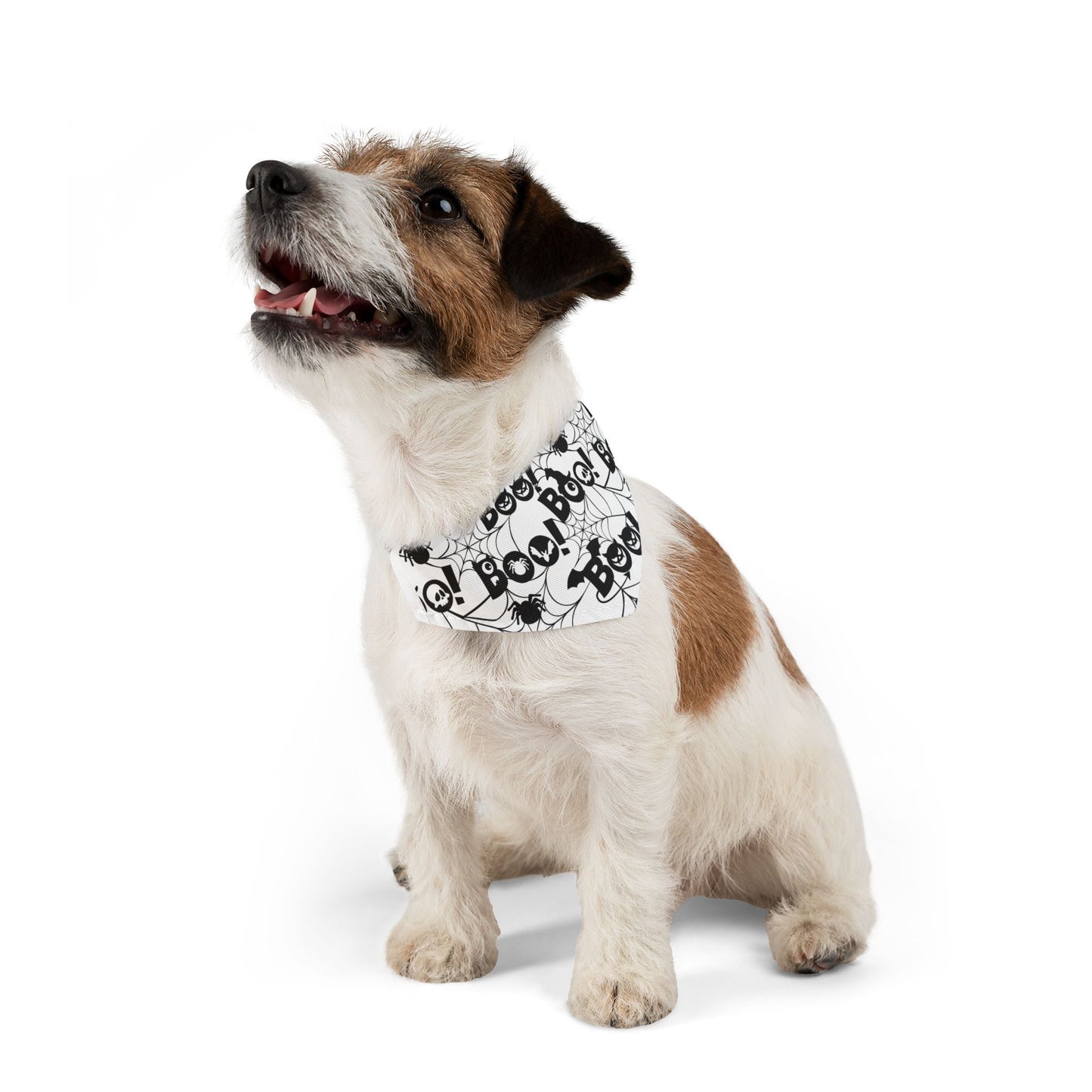 Pet Bandana Collar: Boo