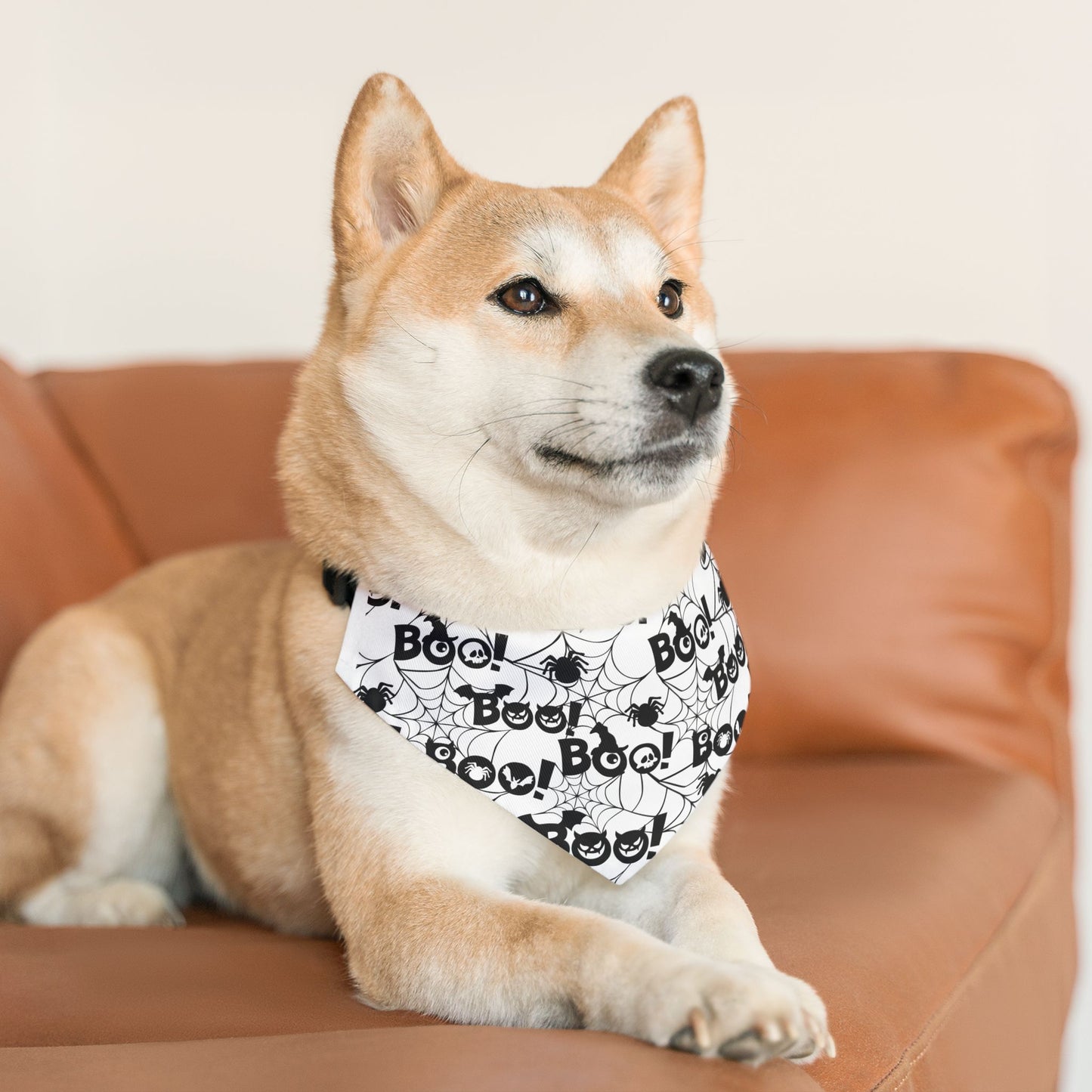 Pet Bandana Collar: Boo