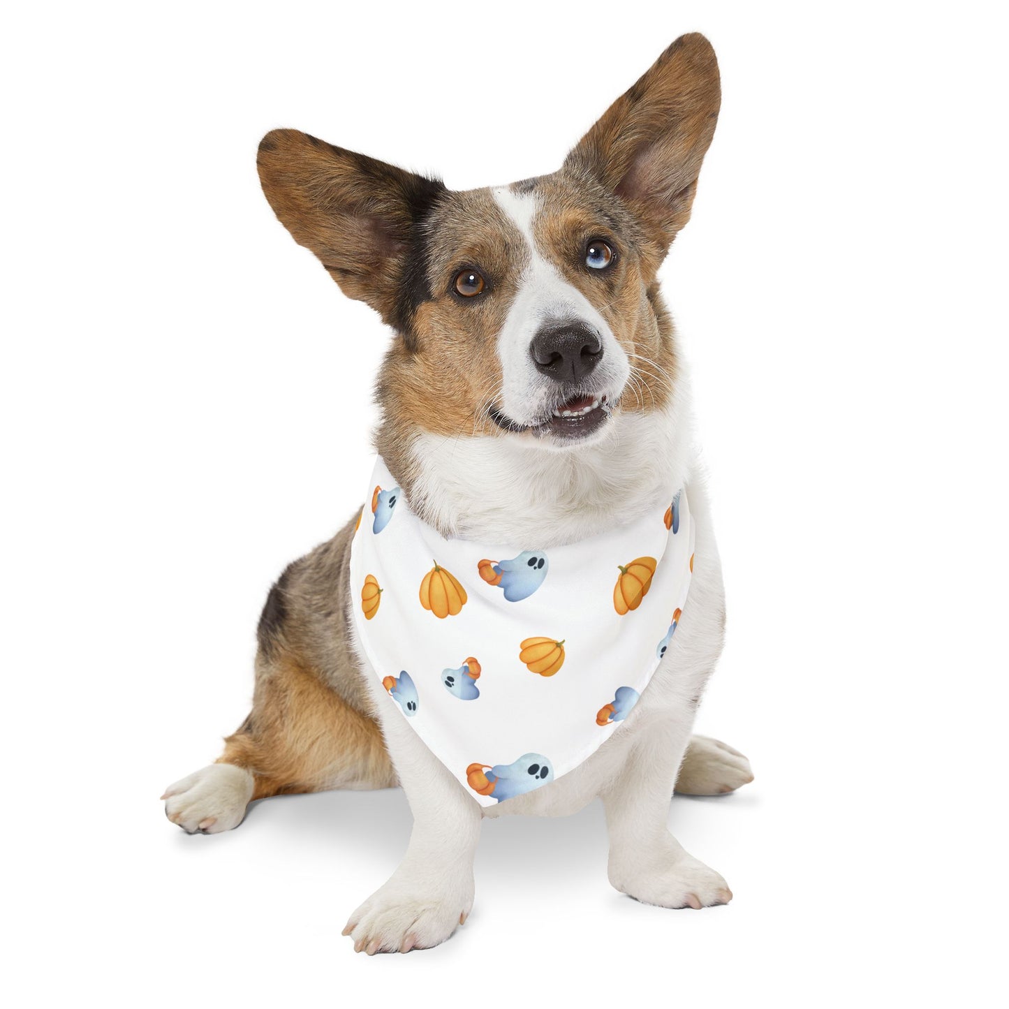Pet Bandana Collar: Pumpkins & Ghosts