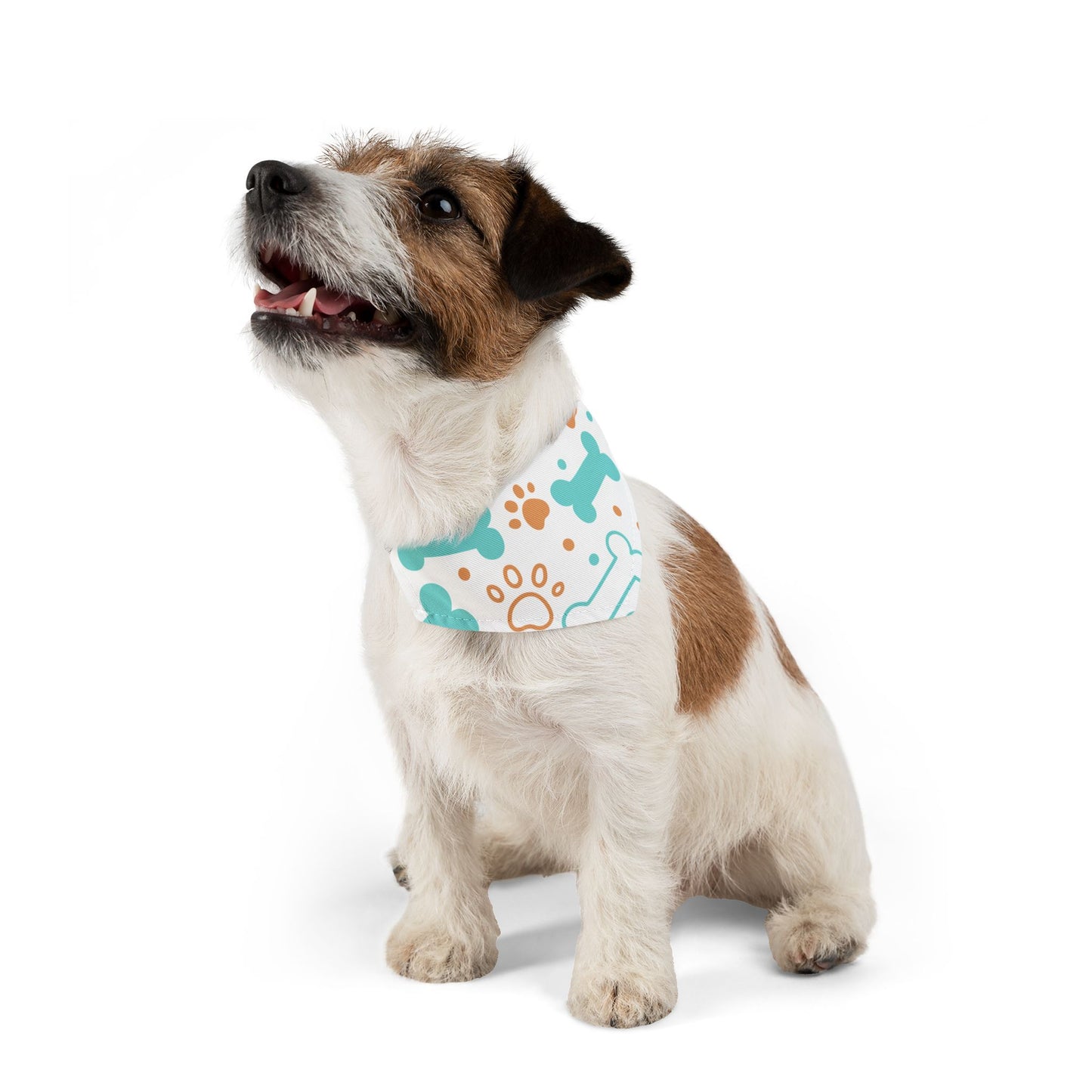 Pet Bandana Collar: Bones & paws