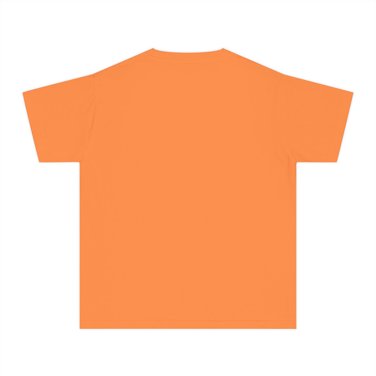 Youth Midweight TeeA: Big sister tshirt