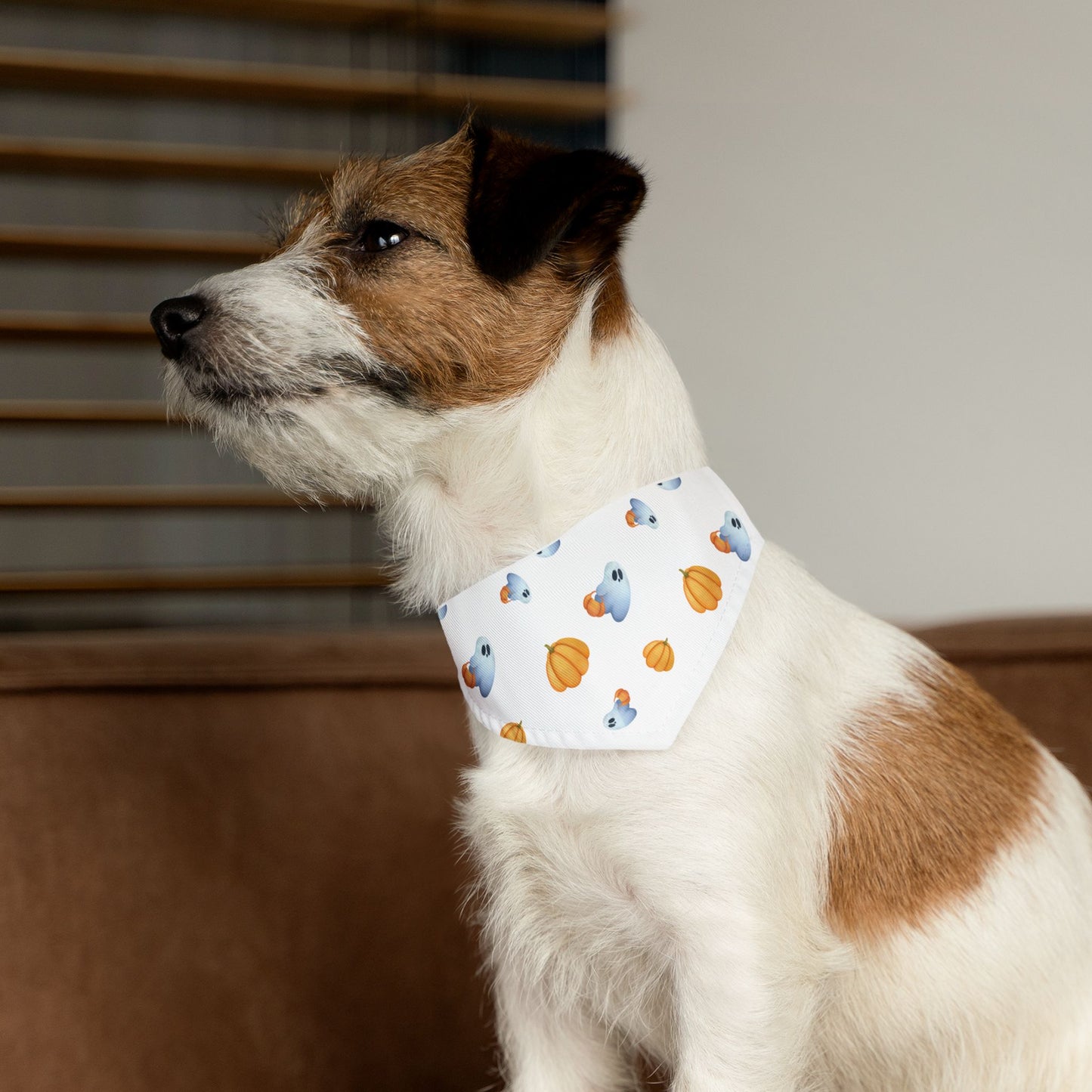Pet Bandana Collar: Pumpkins & Ghosts