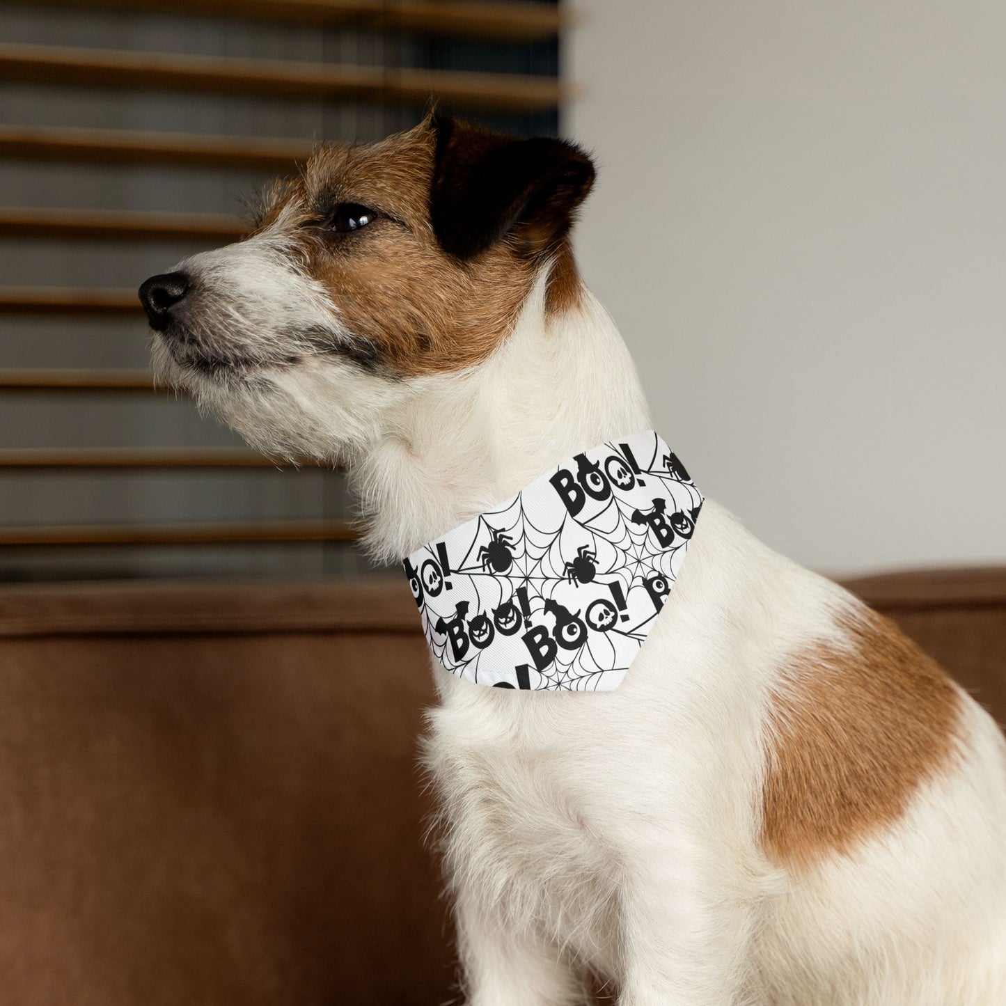 Pet Bandana Collar: Boo