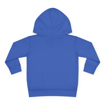Girls Gymnastics Sweatshirt (Hoodie), Toddler — Little Gymnast, Big Dreams