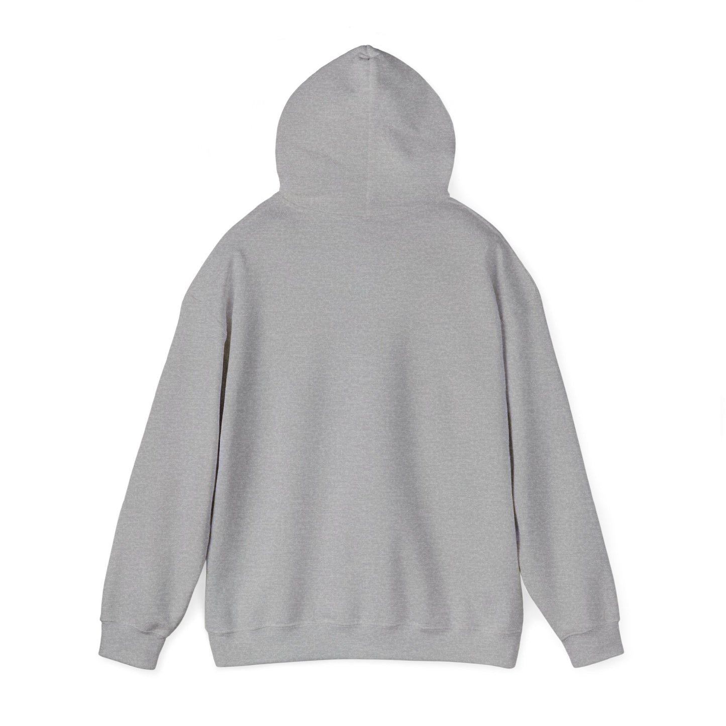 North Lake Hoodie Sweatshirt - Vintage Sunset Graphic