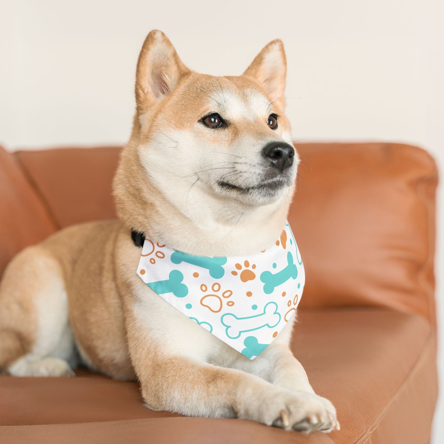 Pet Bandana Collar: Bones & paws