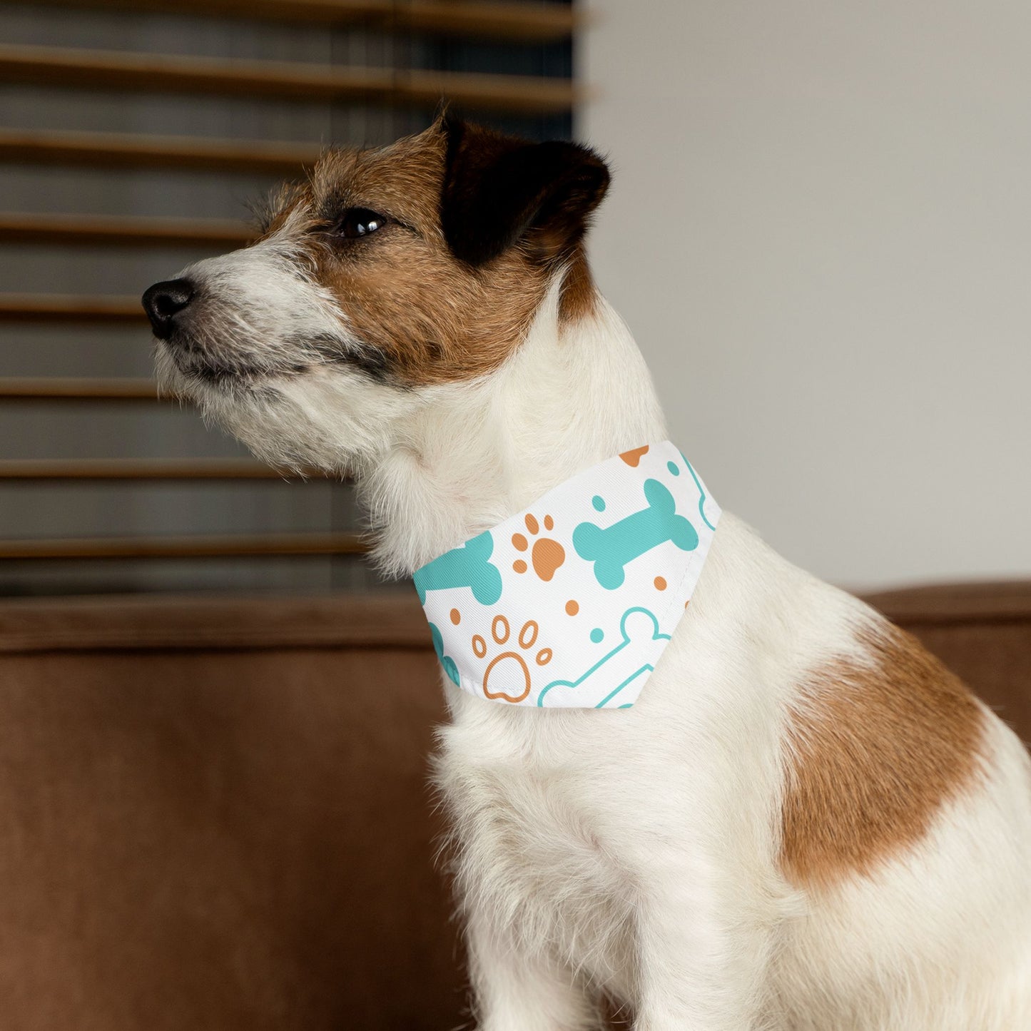 Pet Bandana Collar: Bones & paws