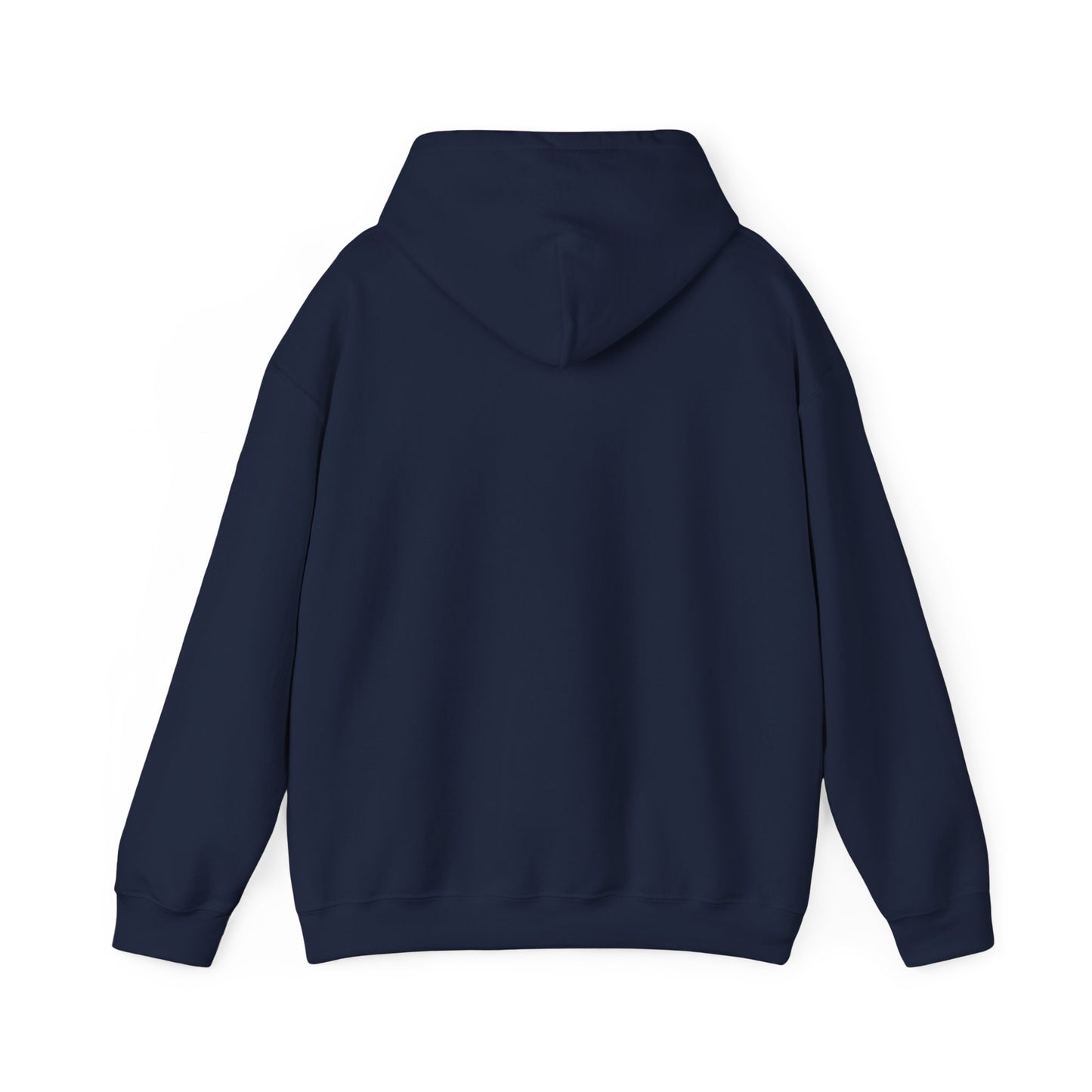 North Lake Hoodie Sweatshirt - Vintage Sunset Graphic