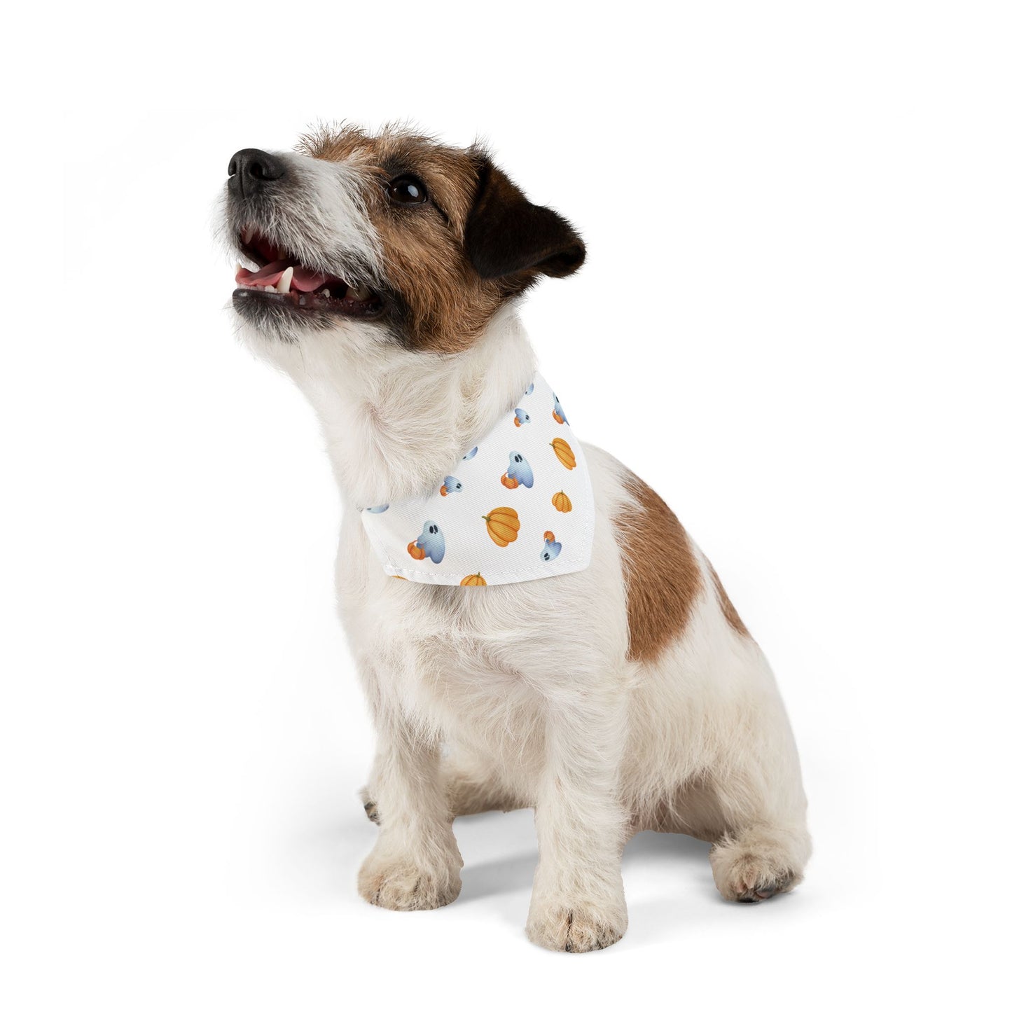 Pet Bandana Collar: Pumpkins & Ghosts